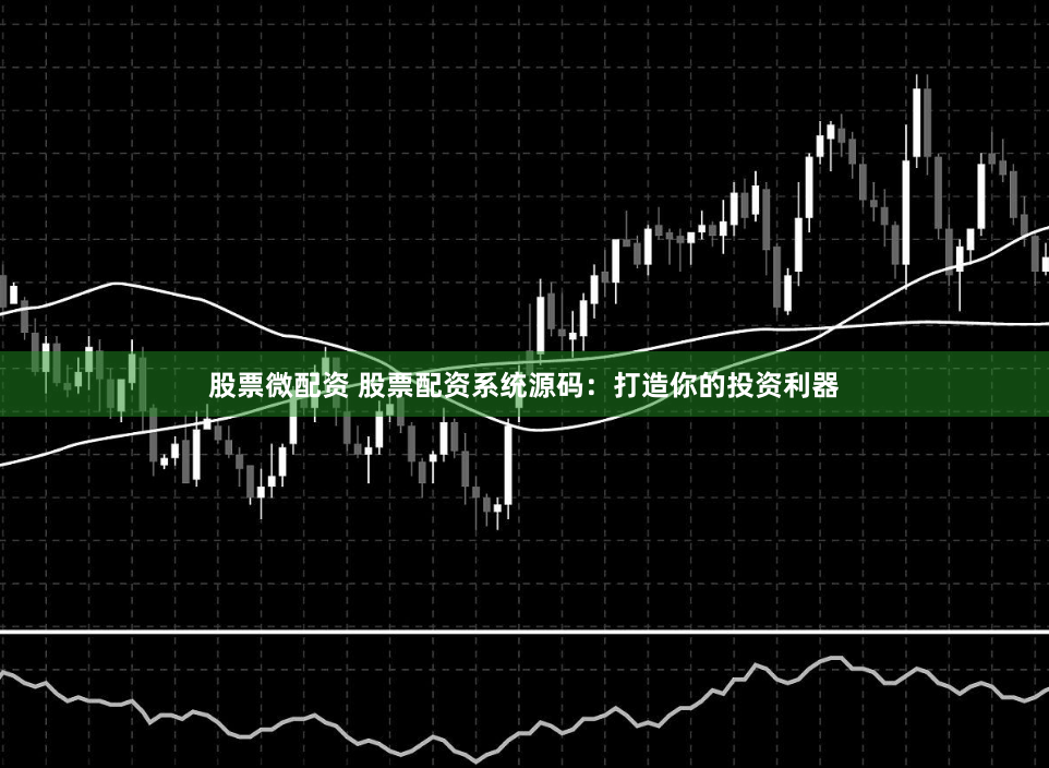 股票微配资 股票配资系统源码：打造你的投资利器
