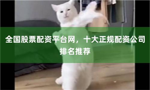 全国股票配资平台网，十大正规配资公司排名推荐